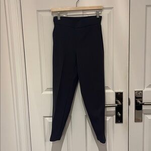 Babaton Charcoal pants